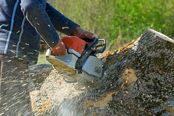 Mulching Services in Muttontown, NY